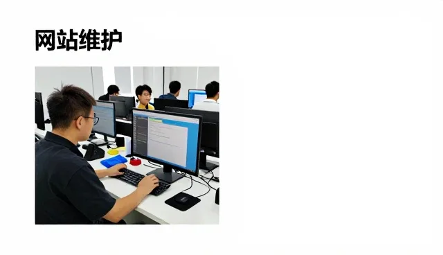 温州市鹿城区辰尚网络科技工作室分享成功应用经验